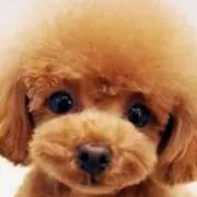 あっちゃんの画像