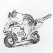 リスラジ ネコポス発送の画像