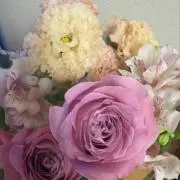 ぴの