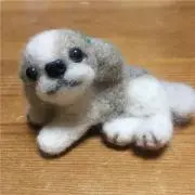 ころたんの画像