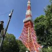 ototoの画像