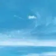 りんごの画像