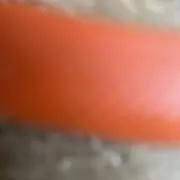 キャンディの画像