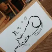Kn 　プロフィール必読願います。の画像