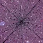 キキの画像