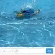 hayaの画像