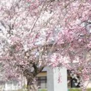 renの画像