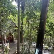 kinokoの画像
