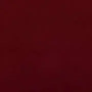 せら★プロフ必読★の画像