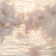Qooの画像