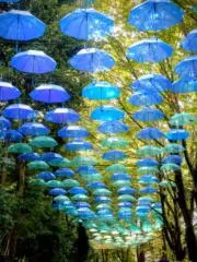 わせまるの画像