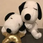 こゆき ♡ʕ⁎̯͡⁎ʔの画像