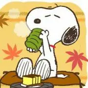 SNPの画像