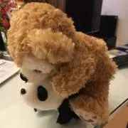 あいの画像