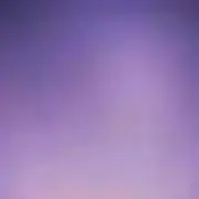 たぬぴの画像