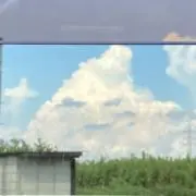 ビタタヌンケの画像