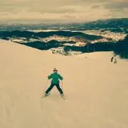 いくら゜のままの画像