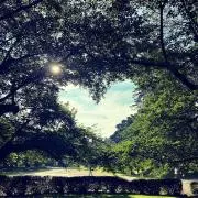 noriの画像