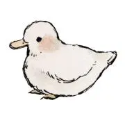 momoの画像