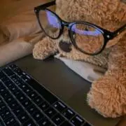 cro.の画像