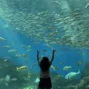 ajtgjmの画像