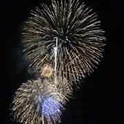 risaの画像