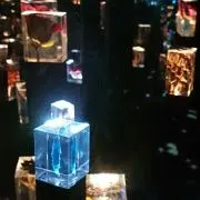 もぐころの画像
