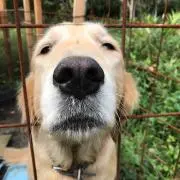 まさやんの画像
