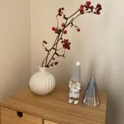 ふらん