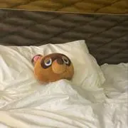 ヵィの画像