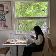 わんこの画像