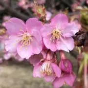 匿名配送　bekeiの画像