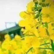 ☆サファリ☆断捨離中の画像