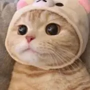 まる