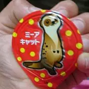 HANA47Aの画像
