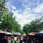 Mikaの画像