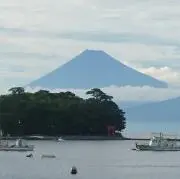タティマルの画像