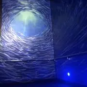 ひでの画像