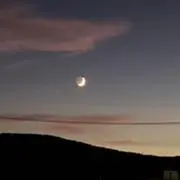 Mの画像