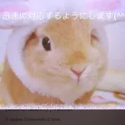 りこママ☆断捨離中