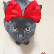 めーみちゃん