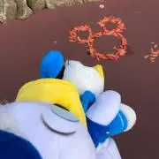 DonaDonaの画像