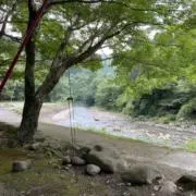noriの画像