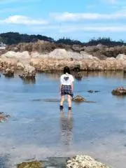 ののの画像