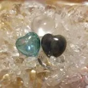 ふゆひ
