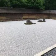 ckの画像