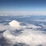 toctocの画像