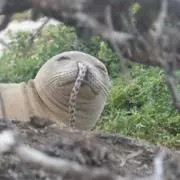 山口ジロウ