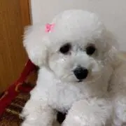 ❤️じゅん。✨ご縁に感謝してます✨の画像