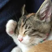 まー